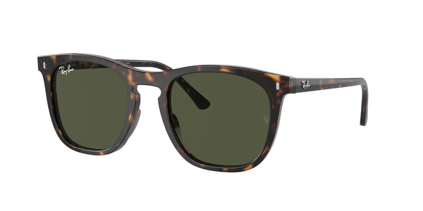 RAYBAN RB2210 902/31